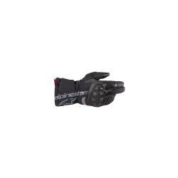 WT-4 Goretex Insulated Gloves Back