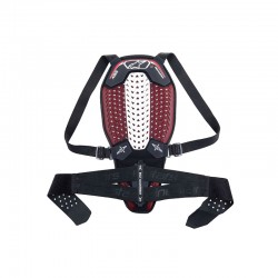 Nucleon Plasma Back Protector