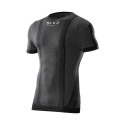 TS1 black carbon